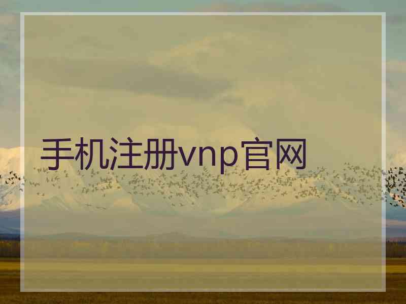 手机注册vnp官网