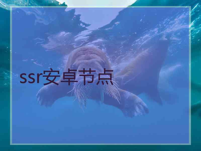 ssr安卓节点
