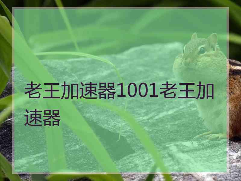 老王加速器1001老王加速器