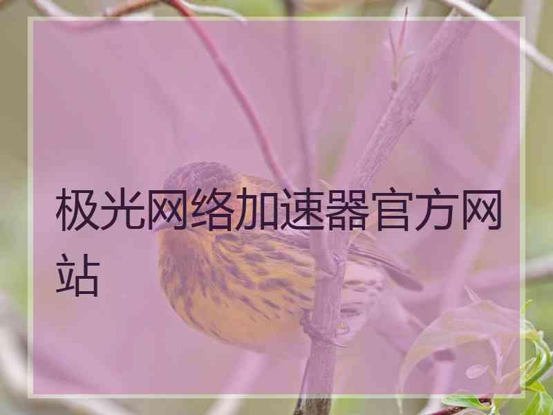 极光网络加速器官方网站