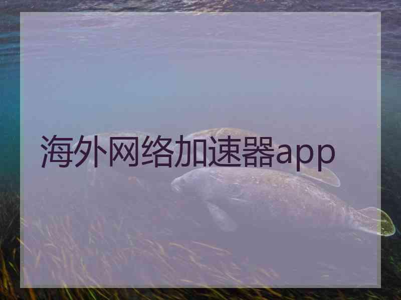 海外网络加速器app