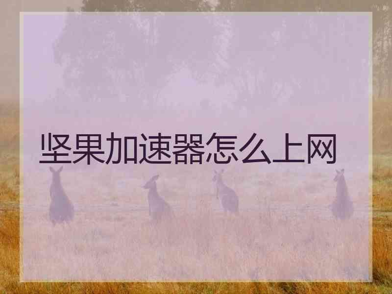 坚果加速器怎么上网