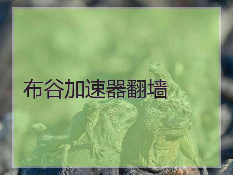 布谷加速器翻墙