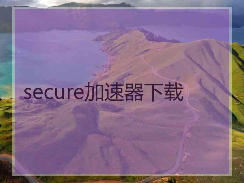 secure加速器下载