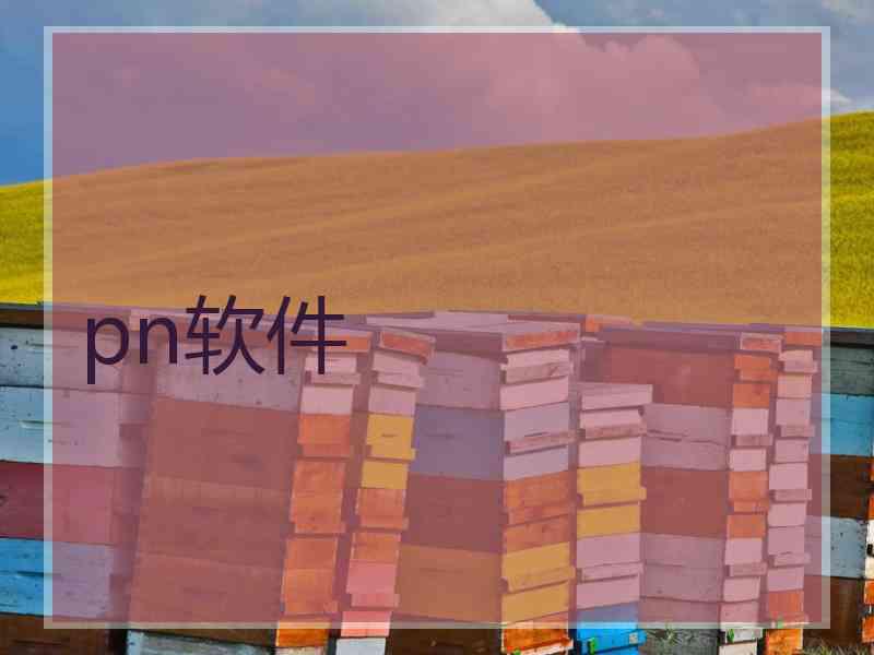 pn软件