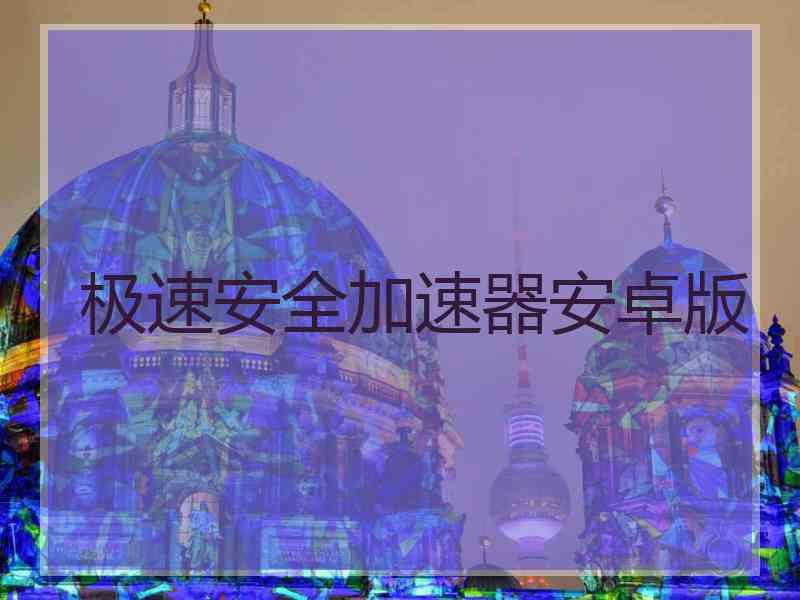 极速安全加速器安卓版