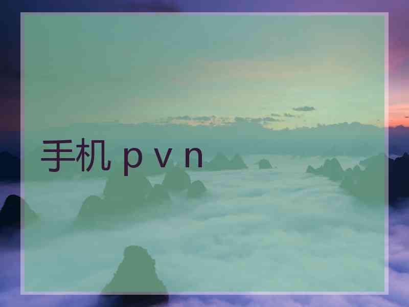 手机 p v n