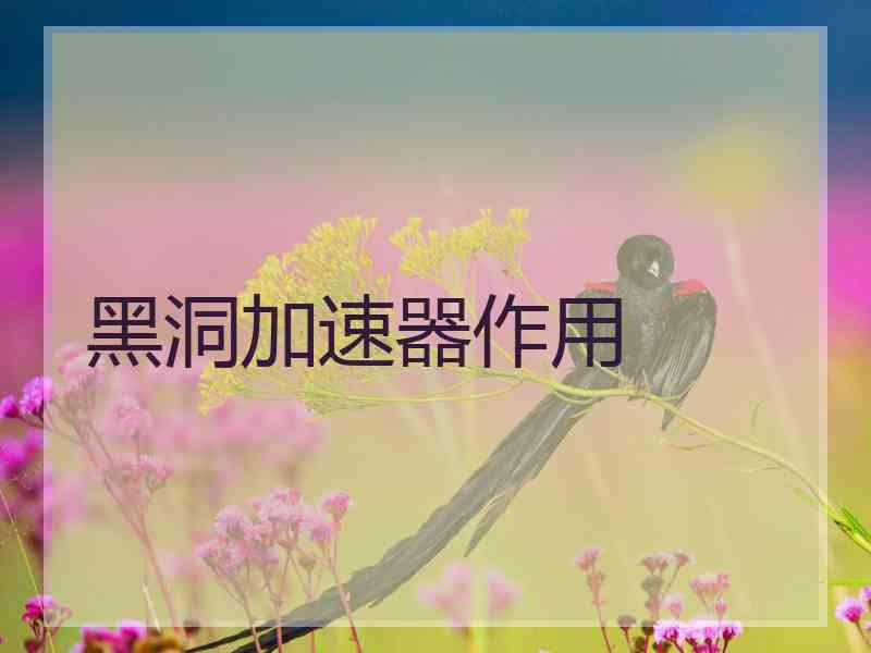 黑洞加速器作用