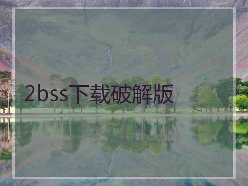 2bss下载破解版