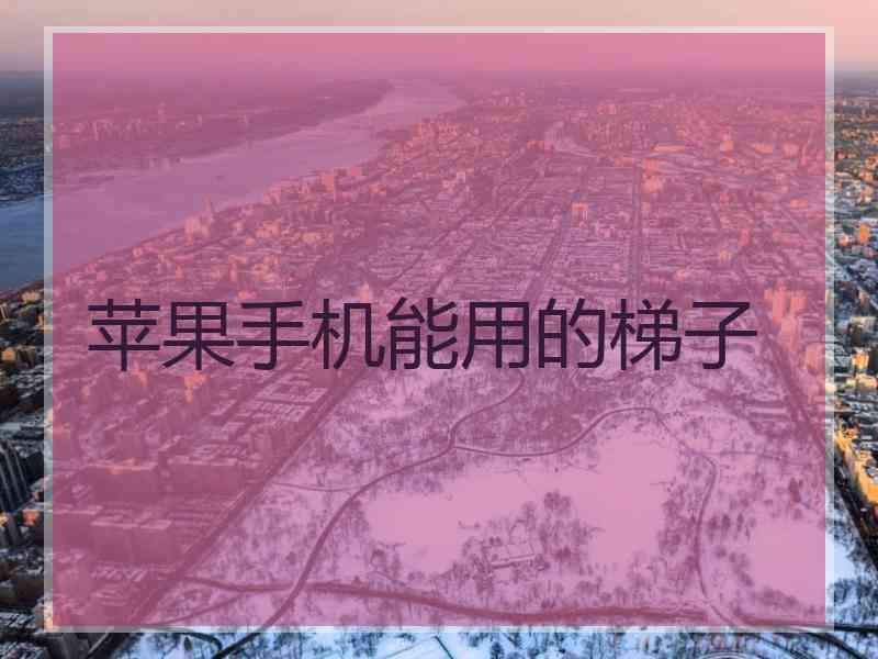 苹果手机能用的梯子