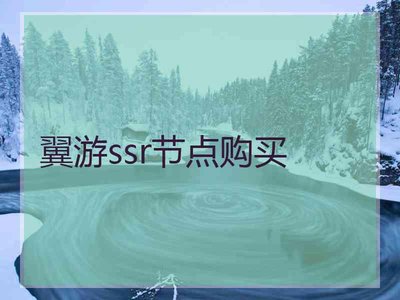 翼游ssr节点购买