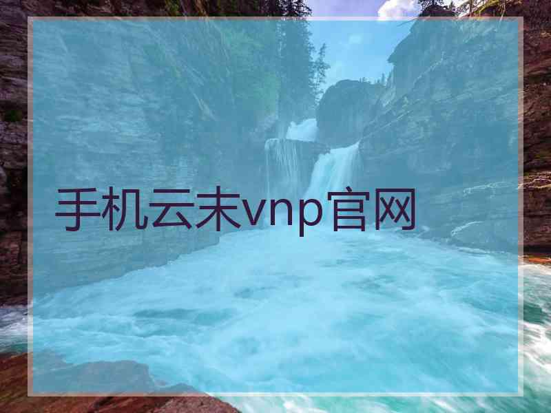 手机云末vnp官网