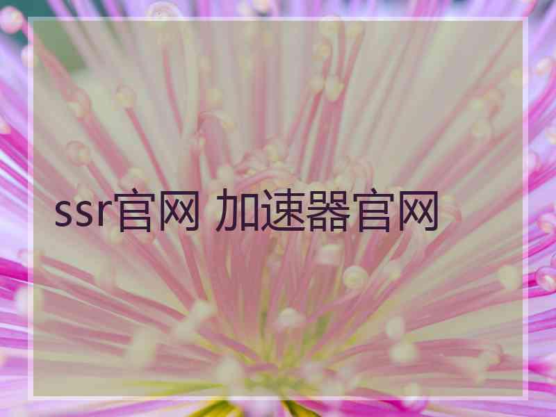 ssr官网 加速器官网