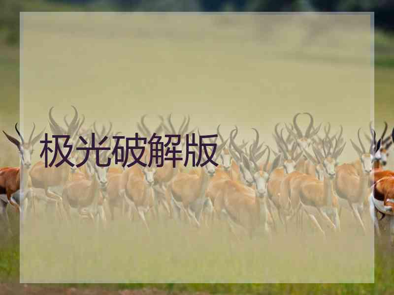 极光破解版
