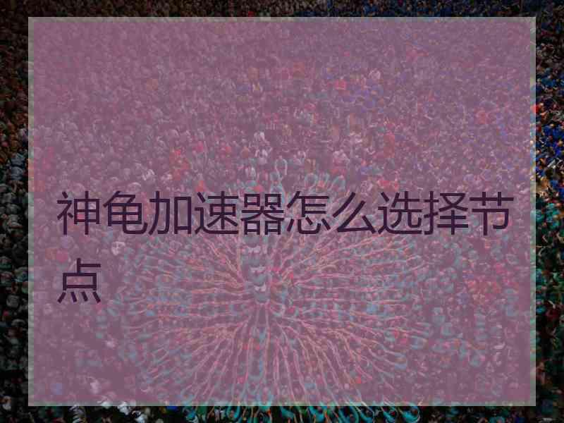 神龟加速器怎么选择节点