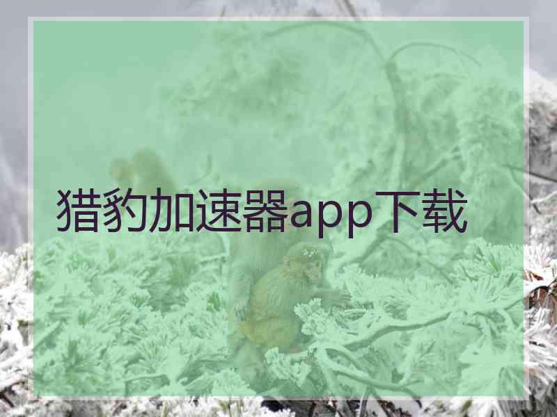 猎豹加速器app下载