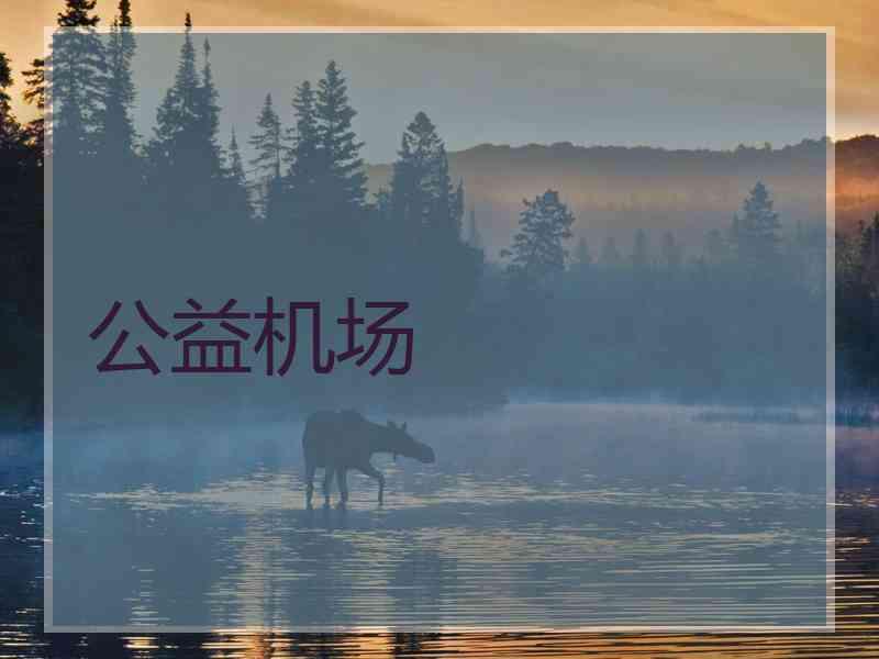公益机场
