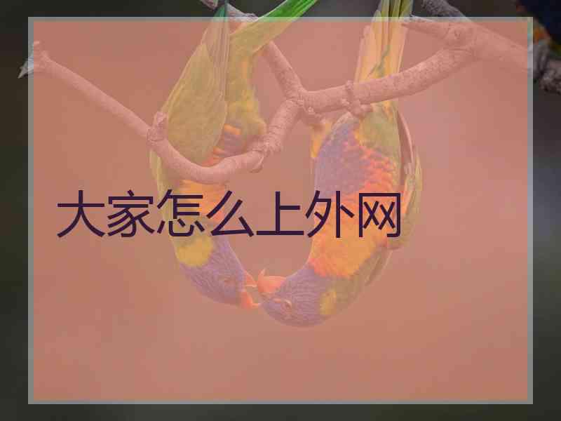 大家怎么上外网