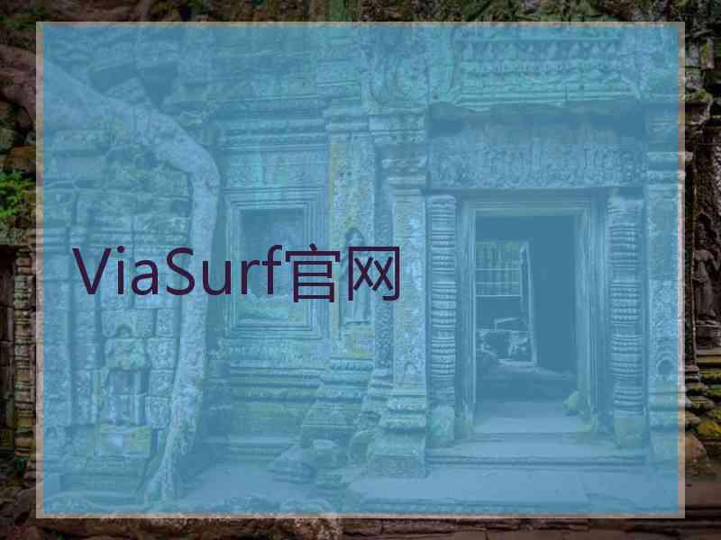 ViaSurf官网