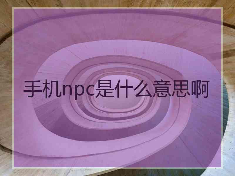 手机npc是什么意思啊