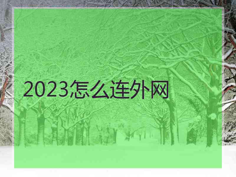 2023怎么连外网
