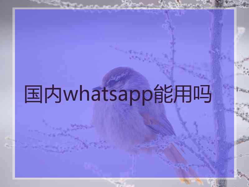 国内whatsapp能用吗