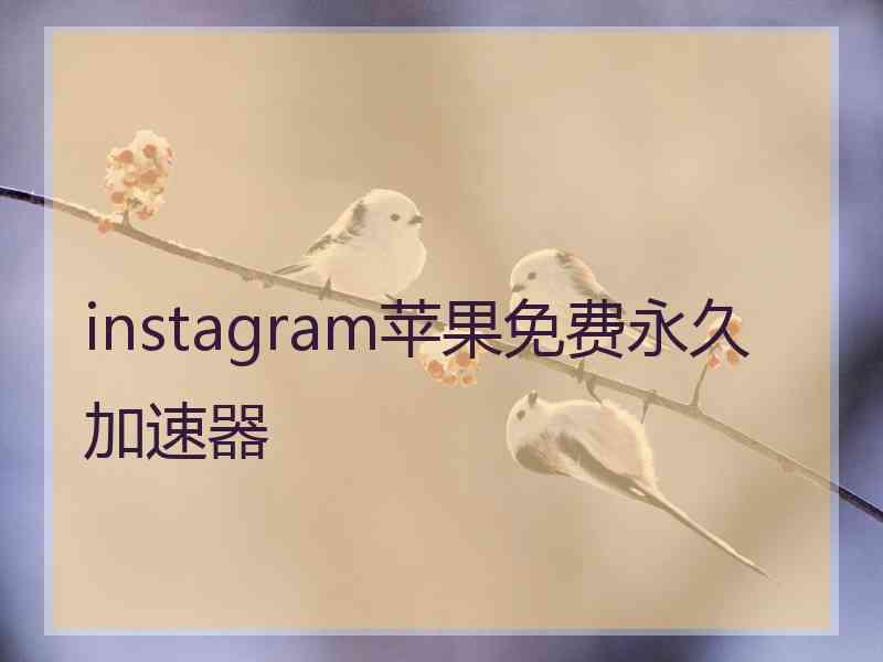instagram苹果免费永久加速器
