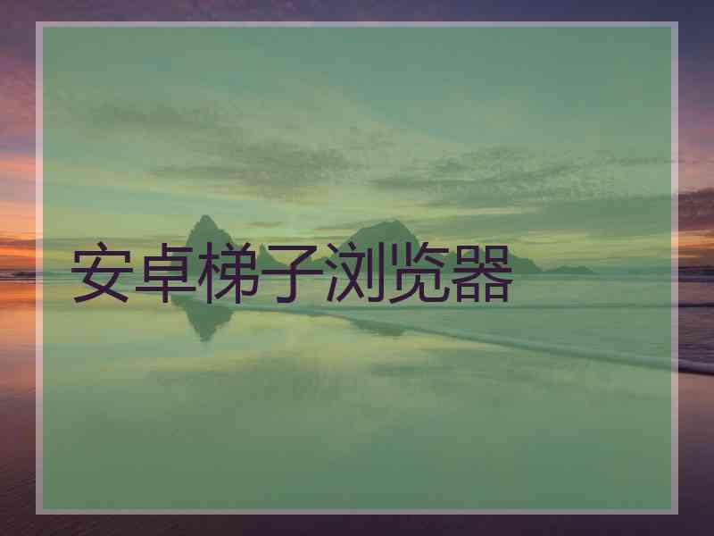 安卓梯子浏览器