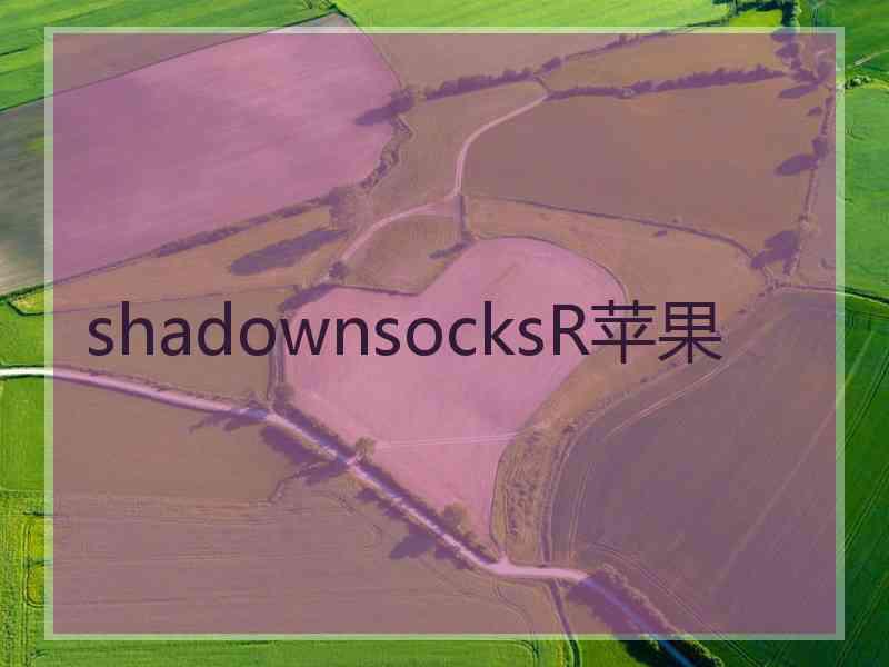 shadownsocksR苹果