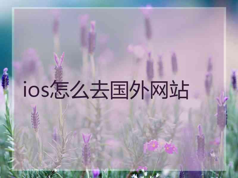 ios怎么去国外网站