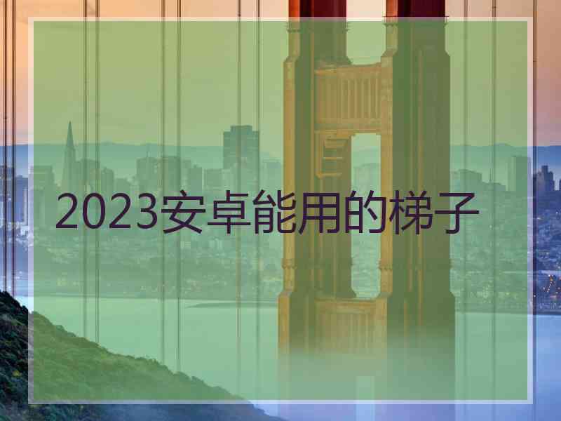 2023安卓能用的梯子