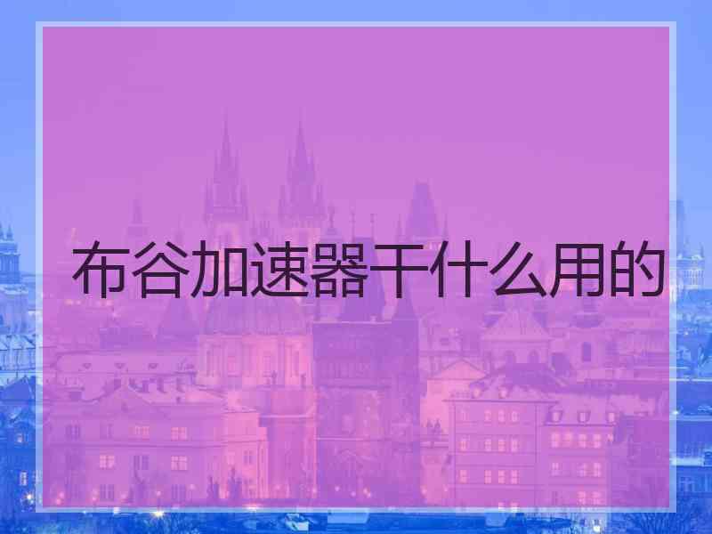 布谷加速器干什么用的