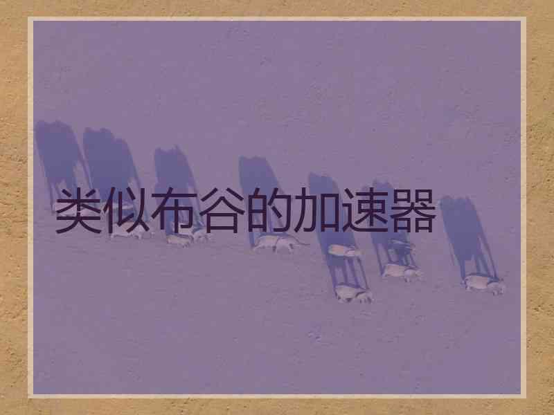 类似布谷的加速器