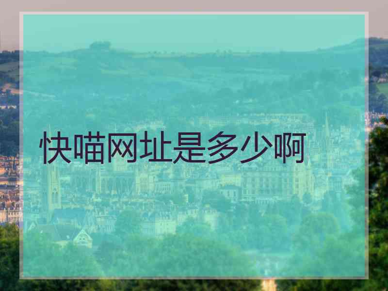 快喵网址是多少啊