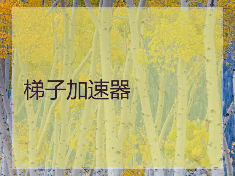 梯子加速器