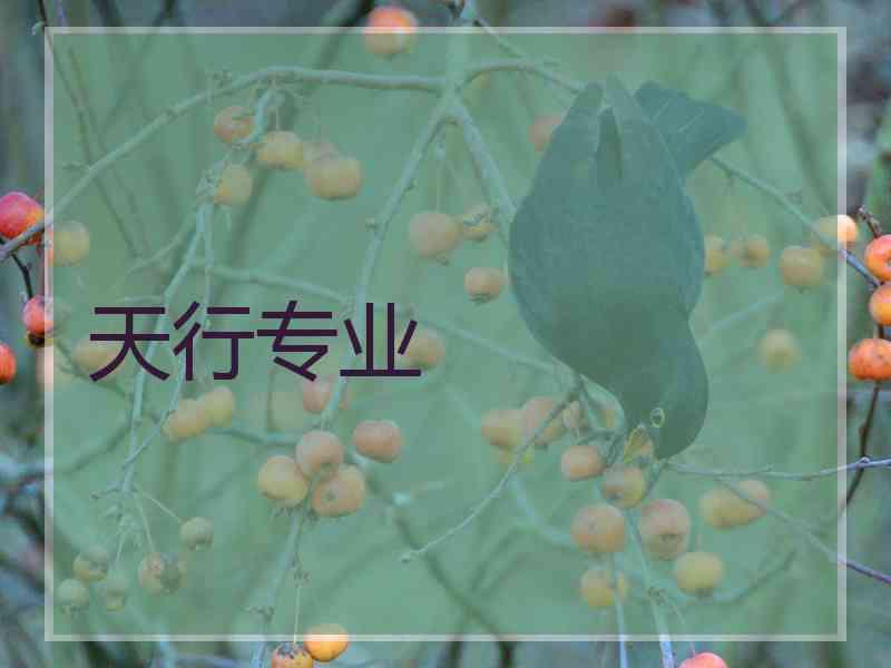 天行专业