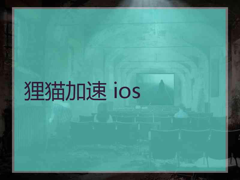 狸猫加速 ios