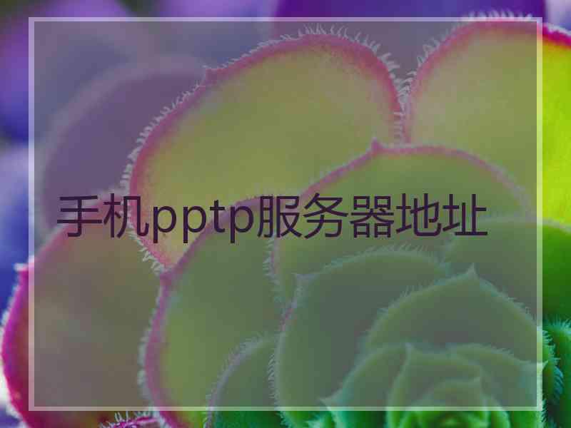 手机pptp服务器地址