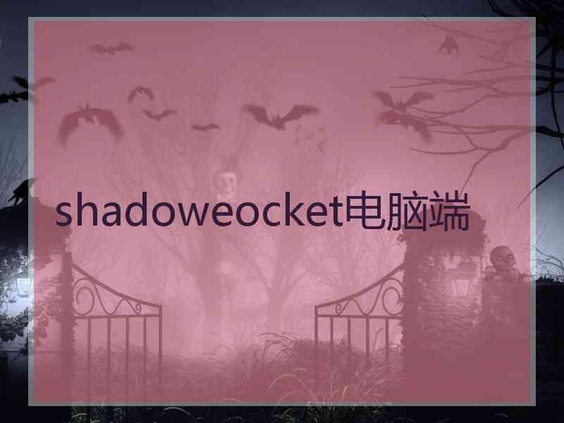 shadoweocket电脑端