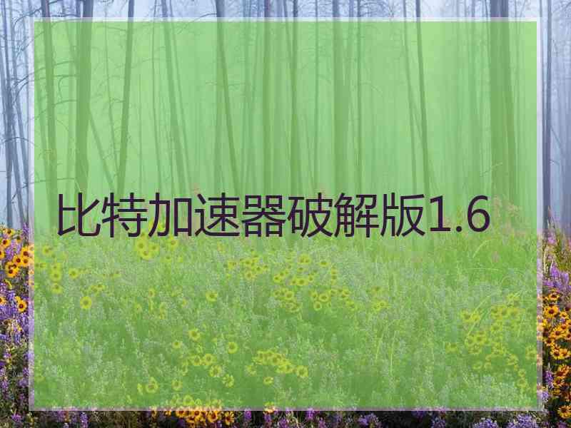 比特加速器破解版1.6