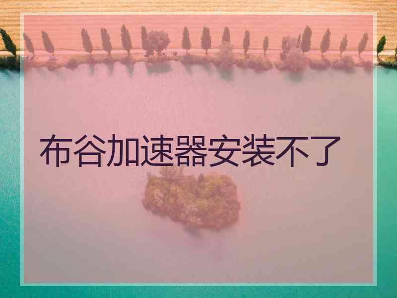 布谷加速器安装不了
