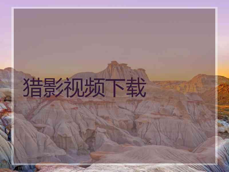 猎影视频下载