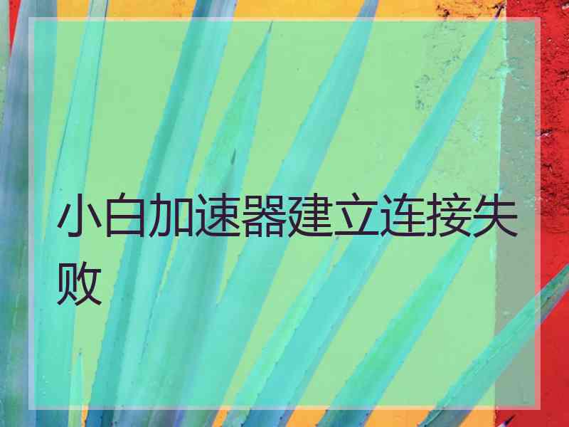 小白加速器建立连接失败