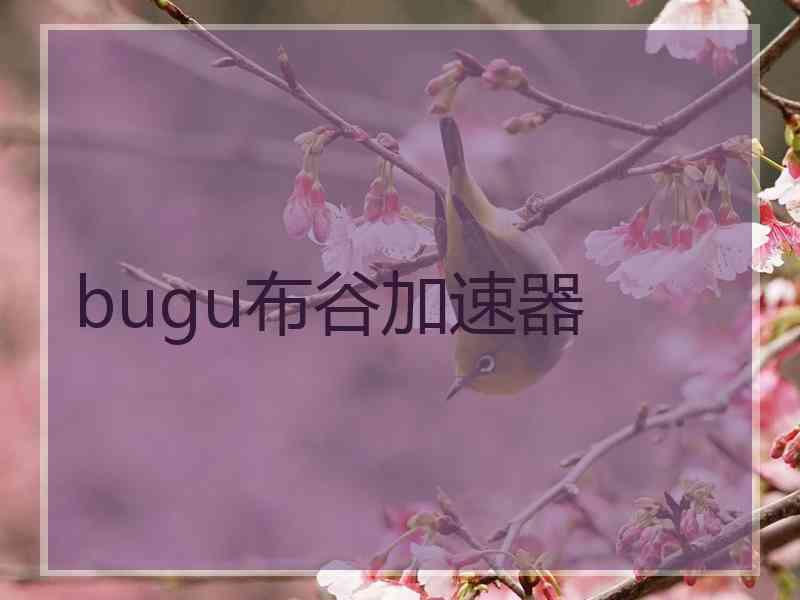 bugu布谷加速器