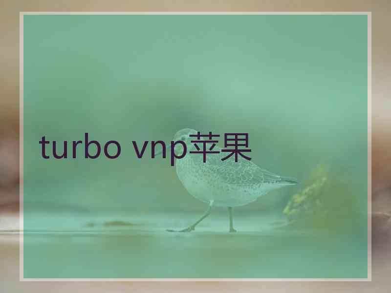 turbo vnp苹果