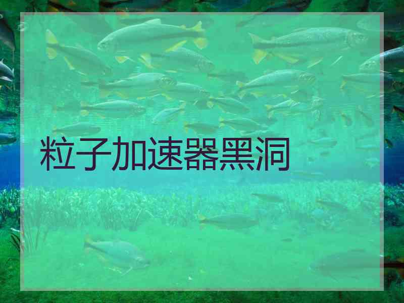 粒子加速器黑洞