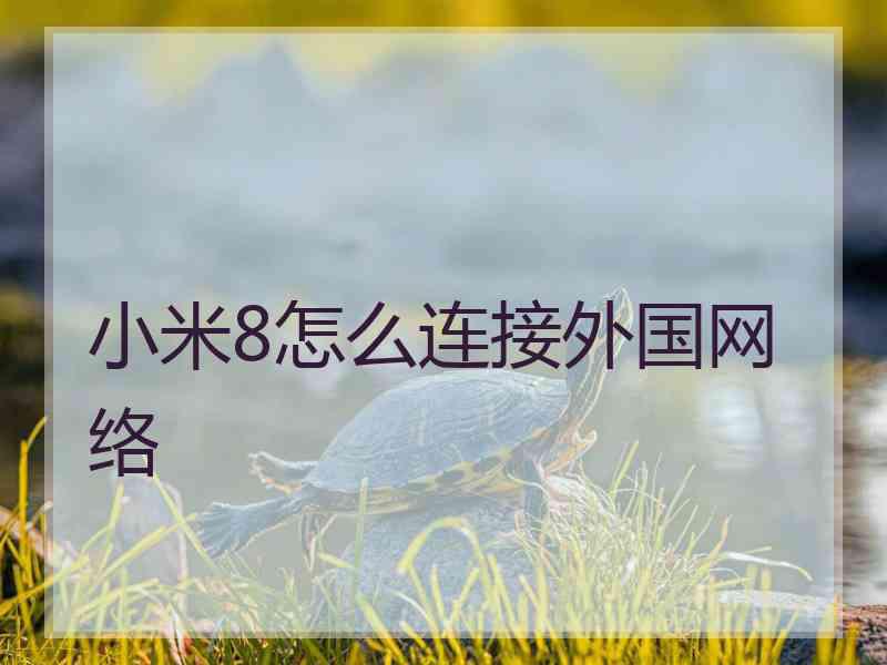 小米8怎么连接外国网络