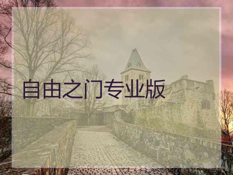 自由之门专业版