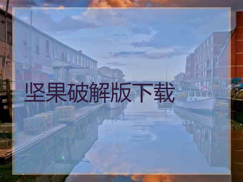 坚果破解版下载