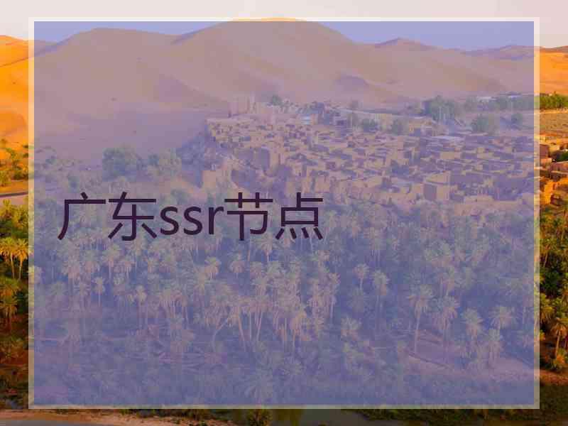 广东ssr节点